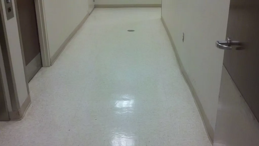 Клининг для бизнеса: Office Cleaning in Maryland
